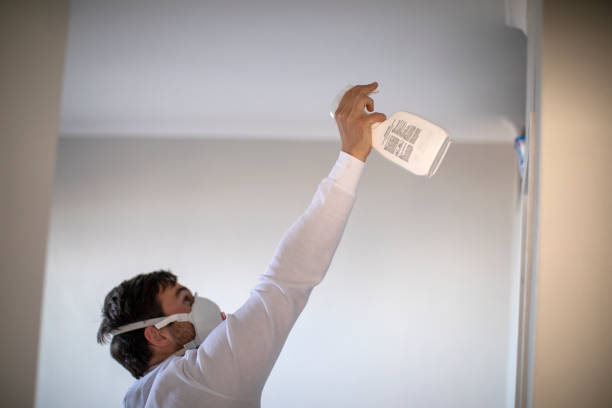 Best Mold Removal Specialists  in Lakes West, CT