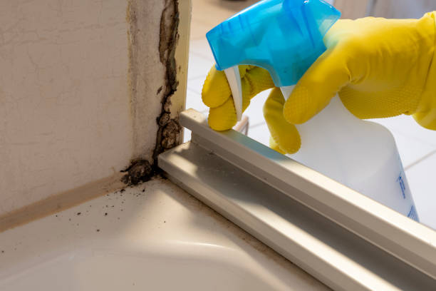 Best Office Mold Removal Services  in Lakes West, CT