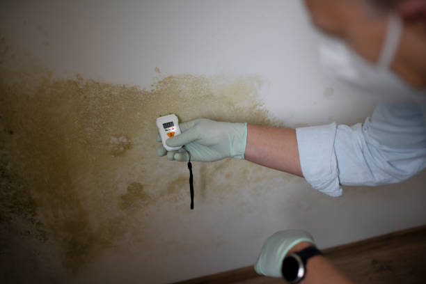 Best Mold Removal Process  in Lakes West, CT