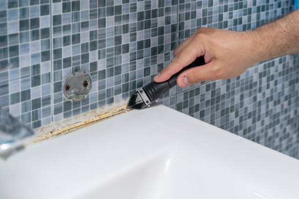 Best Mold Removal Near Me  in Lakes West, CT