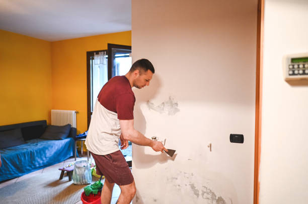 Best Crawl Space Mold Removal  in Lakes West, CT