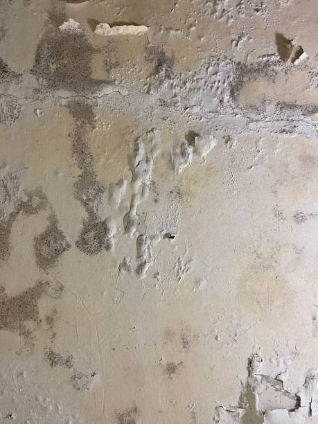 Crawl Space Mold Removal in Lakes West, CT