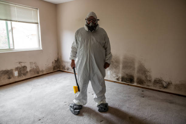 Best Mold Damage Repair  in Lakes West, CT